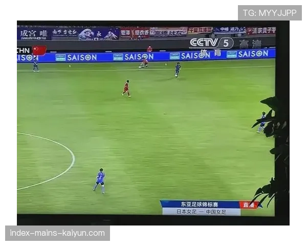 球迷与媒体互动区规则与直播许可说明，足球互动直播什么意思